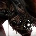 Alien: İki güzel koleksiyoncu ürünü için ön sipariş mümkün