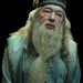 Albus Dumbledore
