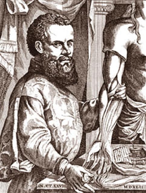 Andreas Vesalius