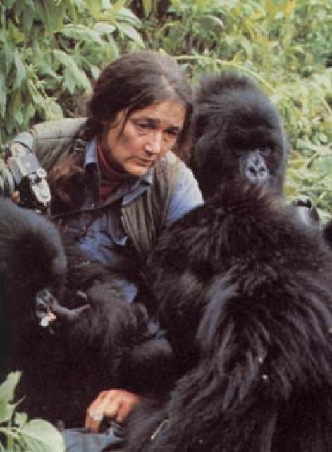 Dian Fossey