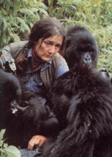 Dian Fossey