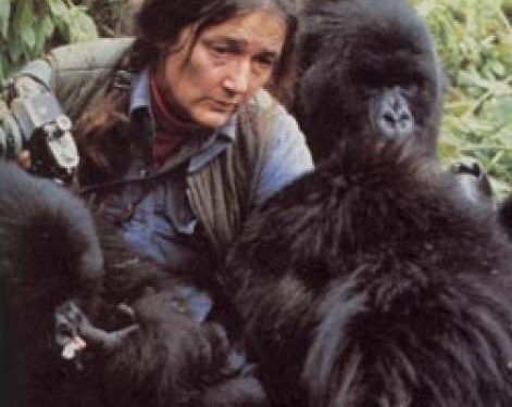 Dian Fossey