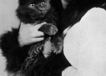 Elizabeth Bibesco