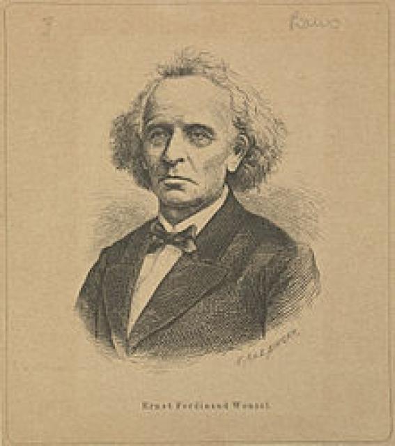 Ernst Ferdinand Wenzel