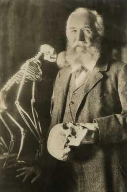 Ernst Haeckel