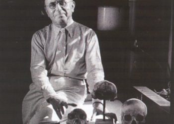 Franz Weidenreich