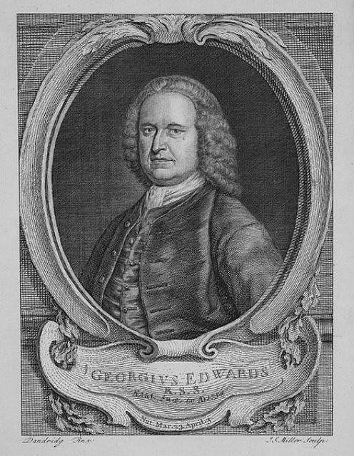 George Edwards