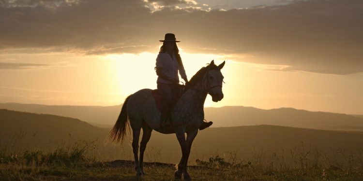 The New York Times, Zorse adlı yeni oyunu test ediyor.