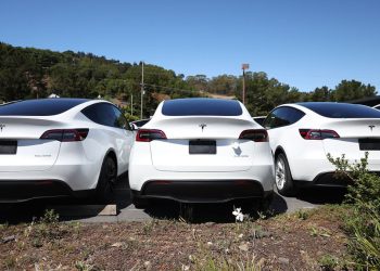 EV garanti girişimi Amber, Tesla için uzaktan teşhis hizmeti başlatıyor