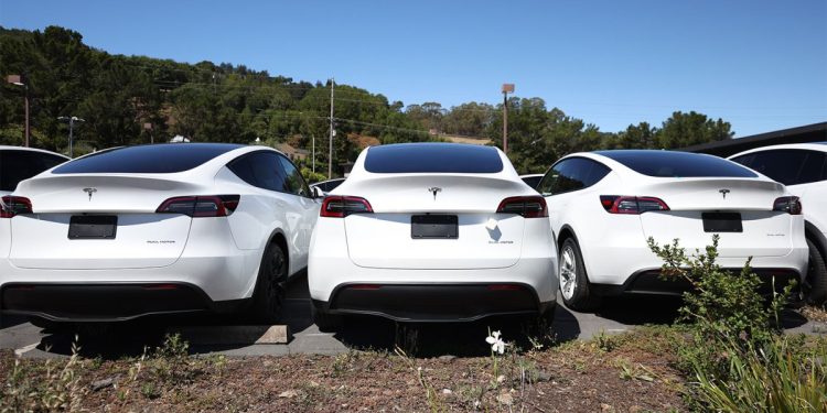 EV garanti girişimi Amber, Tesla için uzaktan teşhis hizmeti başlatıyor