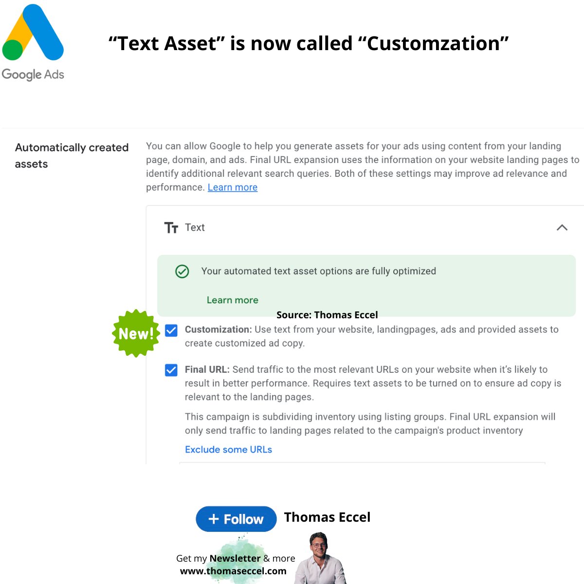 Google Ads Text Asset Cutomization