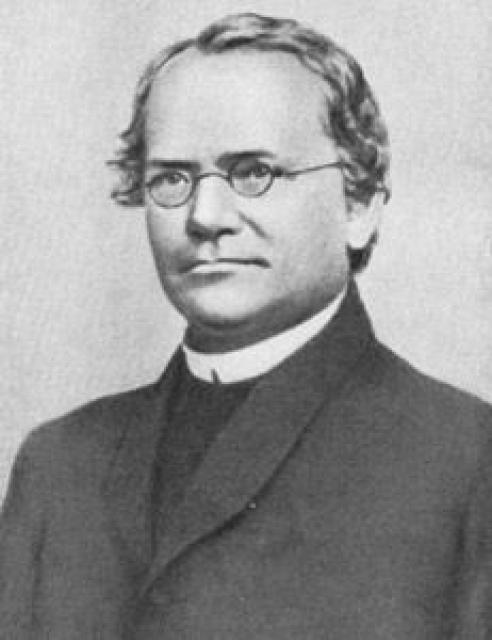 Gregor Mendel