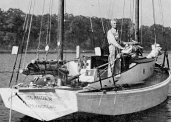 Harry Pigen