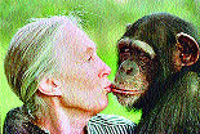 Jane Goodall