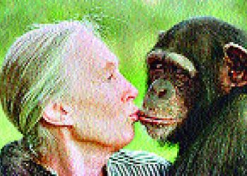 Jane Goodall