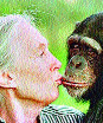 Jane Goodall
