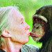 Jane Goodall