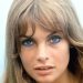 Jean Shrimpton