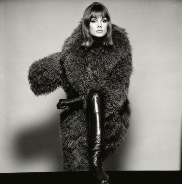 Jean Shrimpton