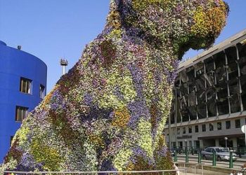 Jeff Koons