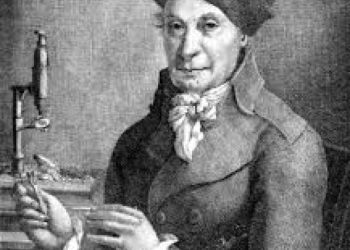 Johann HEDWIG