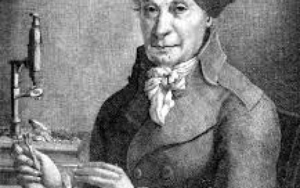 Johann HEDWIG