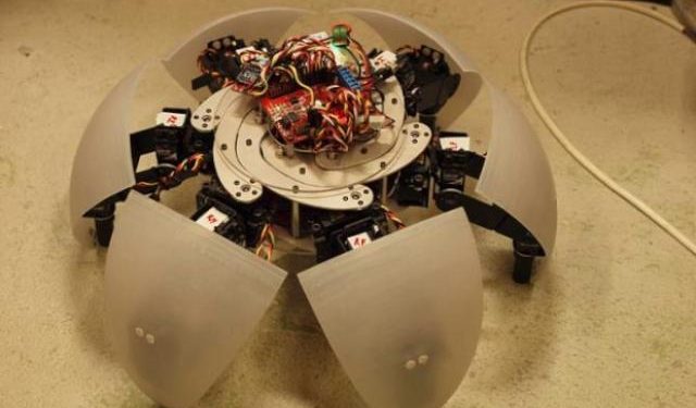 Kare Halvorsen (Zenta)