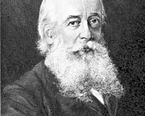 Karl Semper