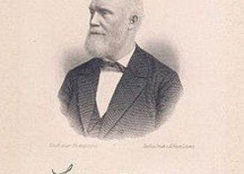 Ludwig Deppe