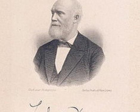 Ludwig Deppe