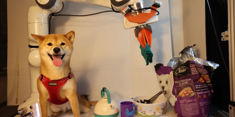 Genel Amaçlı Robotları Daha Hızlı ve Daha İyi Eğitmenin Yolları