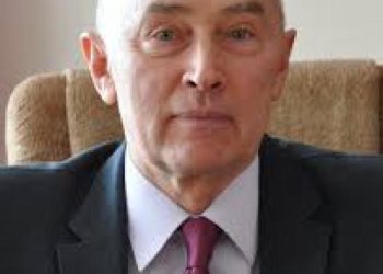 Petr Brigadin