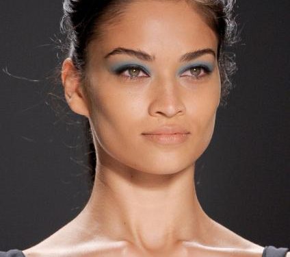 Shanina Shaik