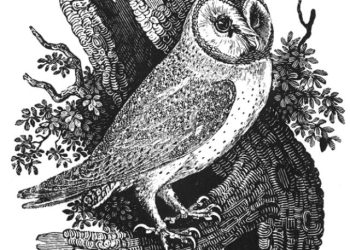 Thomas Bewick