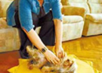 Viktoriya Andreyanova