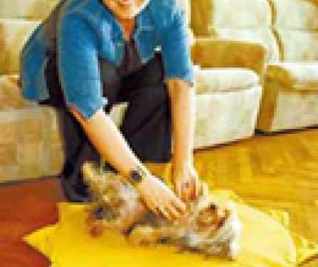 Viktoriya Andreyanova