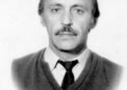 Vladimir Stolin