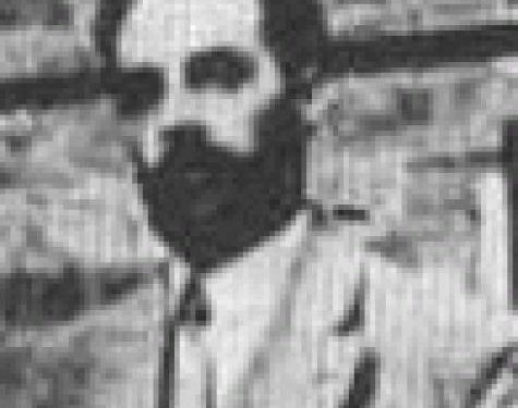 Willem Hendrik van den Bos