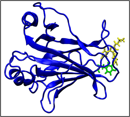 Image shows the 3D structure of a target protein.