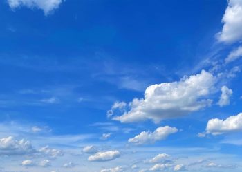 Bluesky, seçim sonrası mutsuz X kullanıcılarının akınını yaşıyor