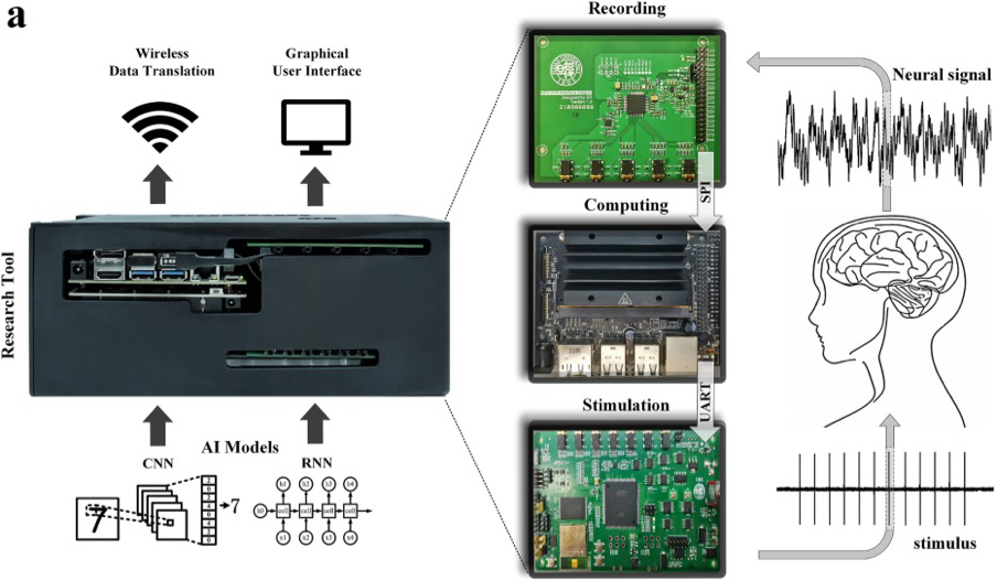 The research tool consists of three modules: recording, computing, and stimulation. The recording and stimulation modules are connected to the Jetson computing module through SPI and UART, respectively. Machine learning algorithms and neural networks are integrated into the research tool through the intelligent computing framework.