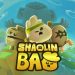 Shaolin Bao Demo Yayınlandı, Ön İncelemesi Nasıl?