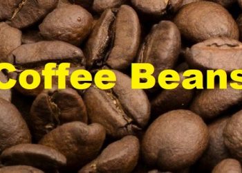 Coffee Beans Yayınlandı, Ön İncelemesi Nasıl?