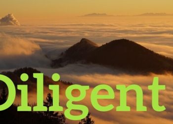 Diligent Yayınlandı, Ön İncelemesi Nasıl?