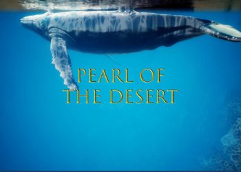 Pearl of the Desert Yayınlandı, Ön İncelemesi Nasıl?