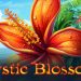 My Hobby: Needlework Galore DLC Mystic Blossoms Yayınlandı, Ön İncelemesi Nasıl?