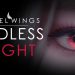 Angel Wings: Endless Night Yayınlandı, Ön İncelemesi Nasıl?