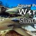 Jigsaw Puzzle World – Sharks Yayınlandı, Ön İncelemesi Nasıl?