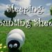 Sleeping: Counting Sheep Yayınlandı, Ön İncelemesi Nasıl?