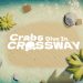 Crabs Dive In Crossway Yayınlandı, Ön İncelemesi Nasıl?